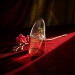 INCIDENCE - SWEET - Image 2